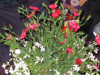 IMG_1326