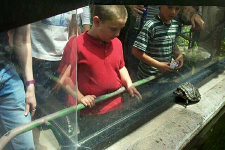 KIDS0054