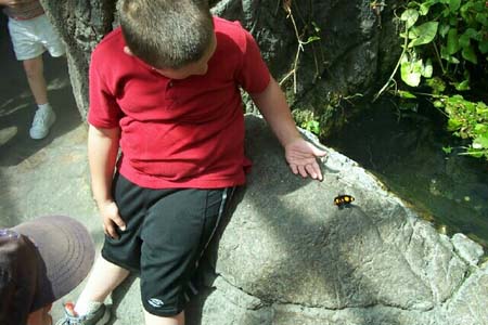 KIDS0059