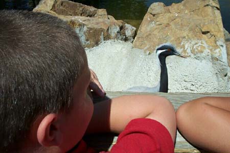 KIDS0062