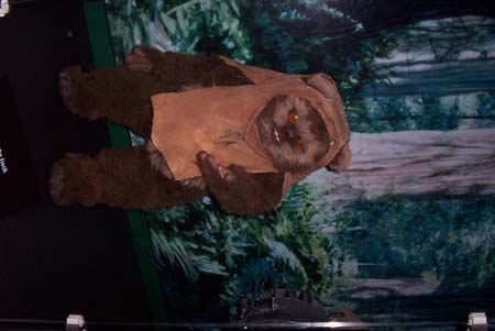 DCP_0653